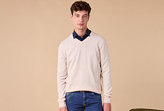 Jersey de hombre con cuello en V - Beige claro Moteado - ELIAN