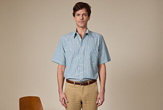 Camisa de lino/algodón Chambray Verde y Blanco - COLTEN MC