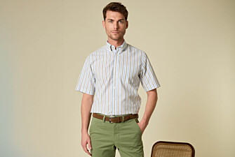 Camisa de lino/algodón Celeste y Verde Salvia - COLTEN MC