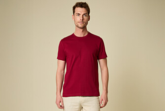 Camiseta lisa de algodón orgánico Burdeos - EDGAR III