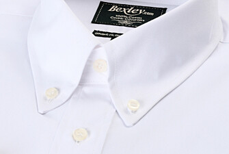 Camisa de algodón blanca - Cuello americano - TOMMY