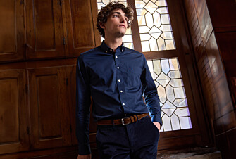 Navy shirt 100% cotton - Button down collar - ALVIN