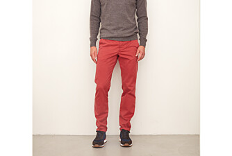 Dark Red Chino trousers for men - NIGEL II