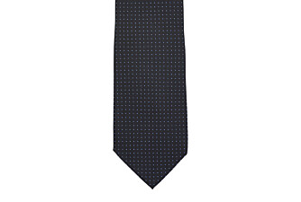 Dotted Silk Tie Navy and Roy blue