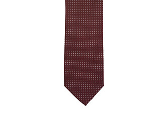 Burgundy Silk Tie with Sky Blue Micro dots