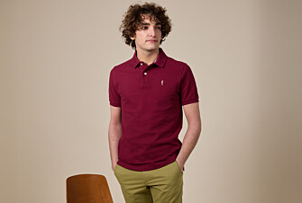 Men’s Polo Shirt Wine Lees - ANDY II