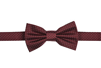 Burgundy and Sky Blue Micro Polka Dots Silk Bow Tie