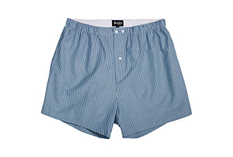 Box of 2 boxer Light Blue and Green and White Striped - ELON