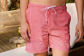 Navy stripes Men's swim short - BRENTAN
