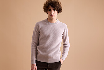 Men's wool round-neck jumper Light grey melange - COLTAN