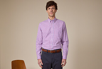Men's shirt in cotton with white, blue, and pink checks. - CULLEN