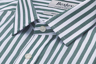 Men's white and green striped shirt - MATHURIN II