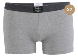 Box of 2 Grey Melange Men's boxers briefs - ELLIOT