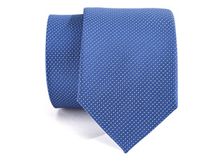 Blue Silk Tie with White Micro dots