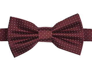 Burgundy and Sky Blue Micro Polka Dots Silk Bow Tie
