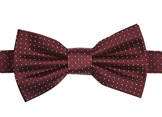 Dot Pattern Bow Tie Burgundy and sky blue