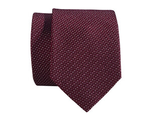 Burgundy and White Silk Tie