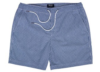 Navy stripes Men's swim short - BRENTAN
