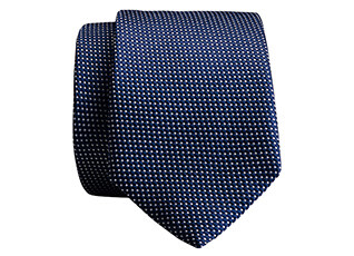Prussian Blue Silk Tie with Ecru Micro dots