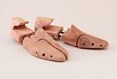 Shoe tree
