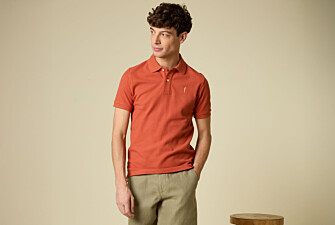 Men’s Polo Shirt - Rust - ANDY II