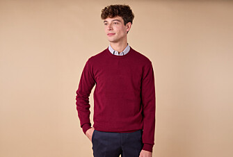 Men's wool Jumper – Burgundy - CONAN