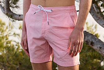 Navy stripes Men's swim short - BRENTAN