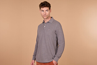 Taupe Melange Men's long sleeve polo shirt - ALEC III ML
