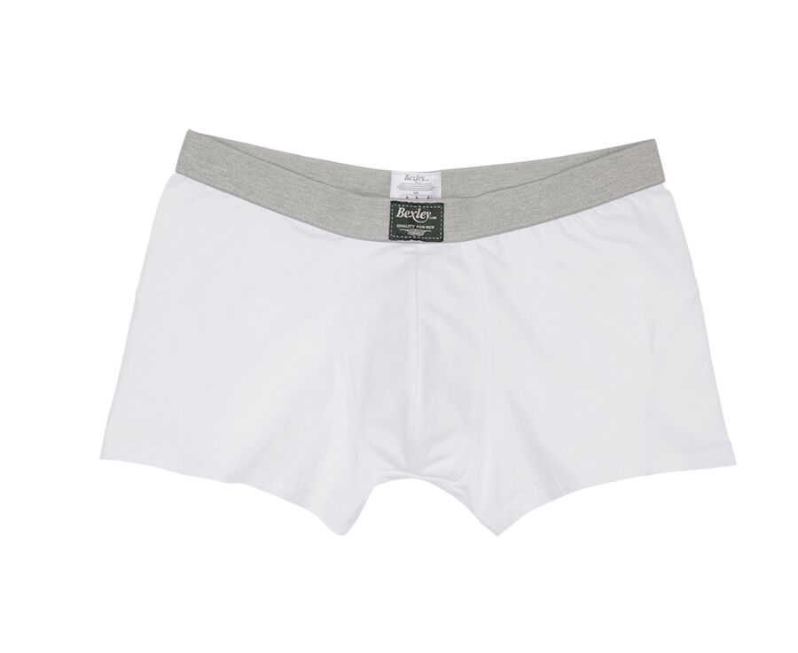 Box of 2 White Men's boxers briefs - ELLIOT