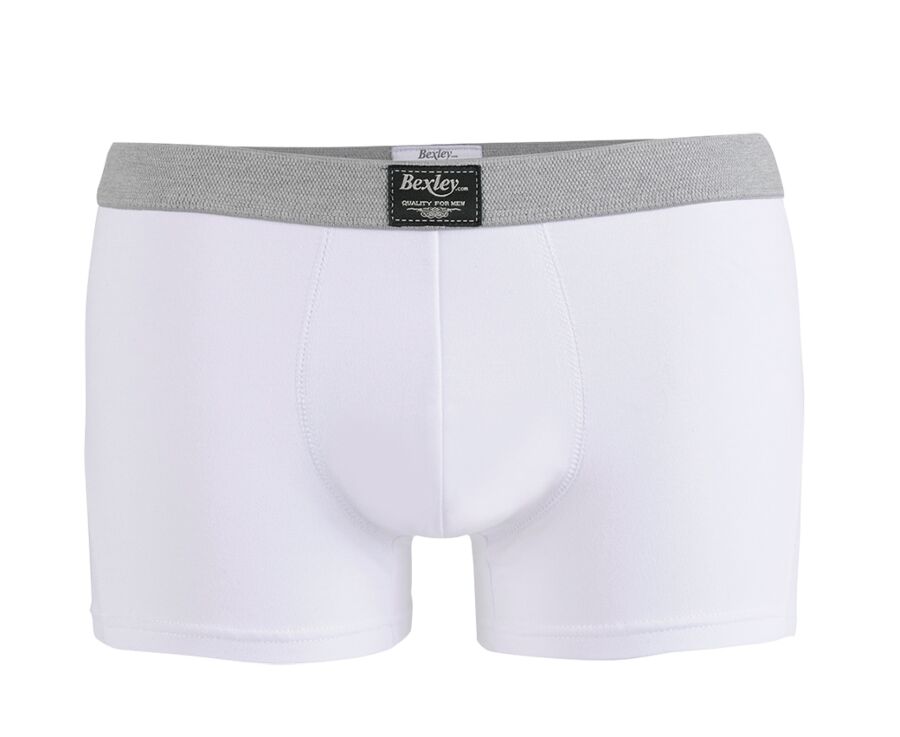 Box of 2 White Men's boxers briefs - ELLIOT