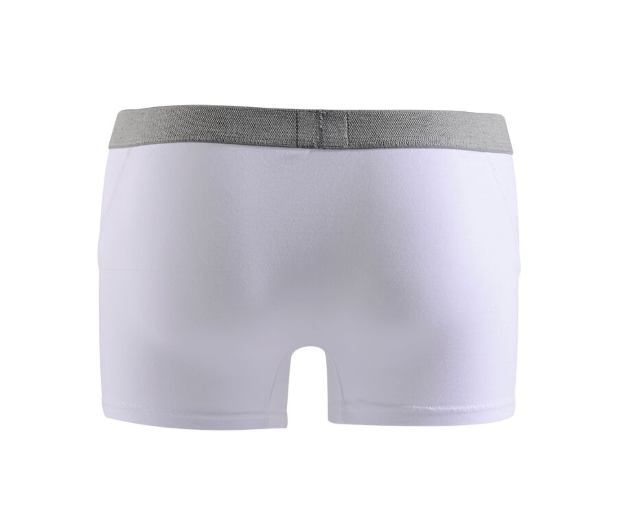 Box of 2 White Men's boxers briefs - ELLIOT