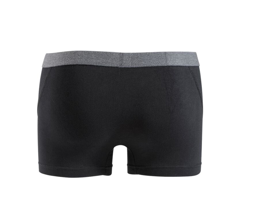 Box of 2 Black Men's boxers briefs - ELLIOT