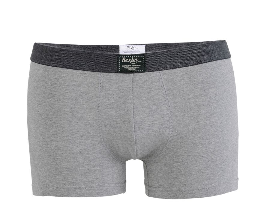 Box of 2 Grey Melange Men's boxers briefs - ELLIOT