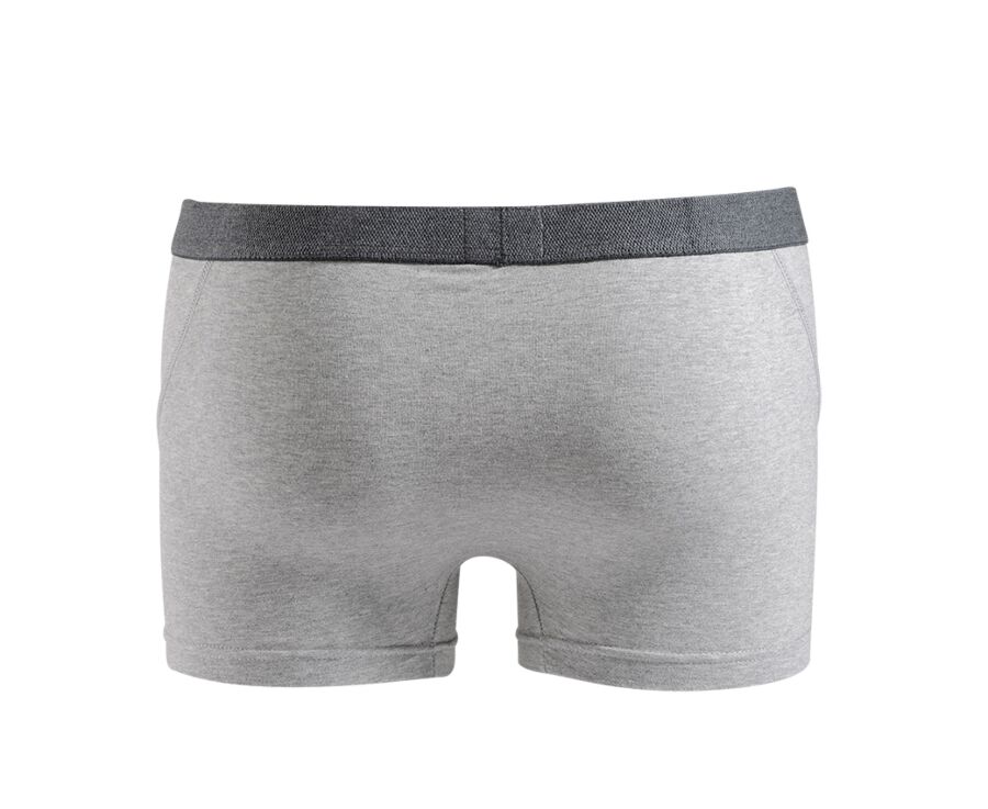 Box of 2 Grey Melange Men's boxers briefs - ELLIOT