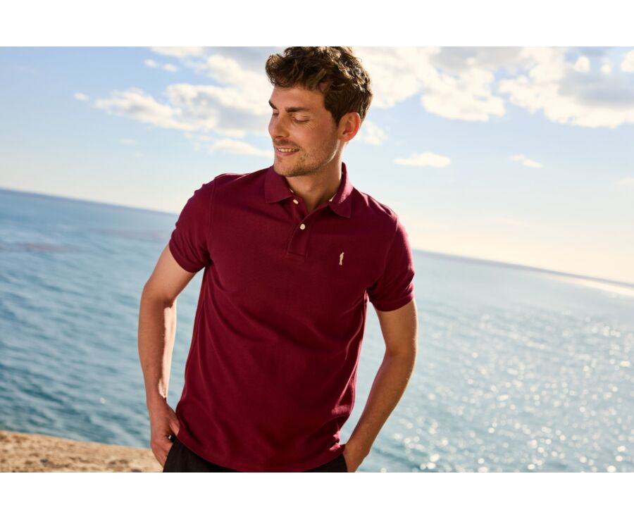 Men’s Polo Shirt Wine Lees - ANDY II