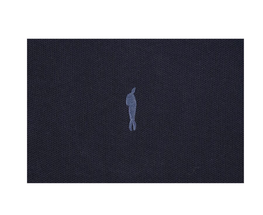 Navy and Rapsberry Men's polo shirt - ARDLEY