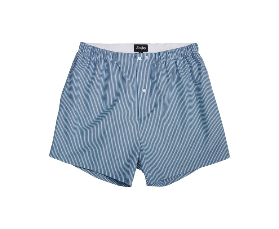 Box of 2 boxer Light Blue and Green and White Striped - ELON