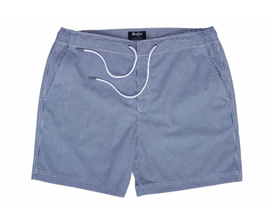 Navy stripes Men's swim short - BRENTAN
