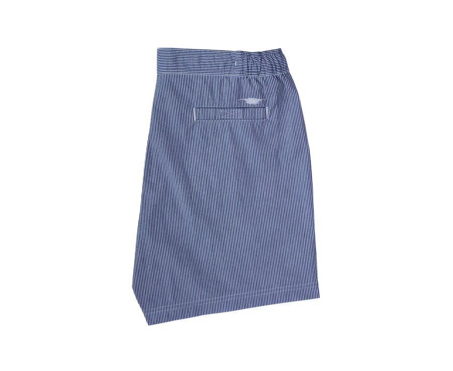 Navy stripes Men's swim short - BRENTAN
