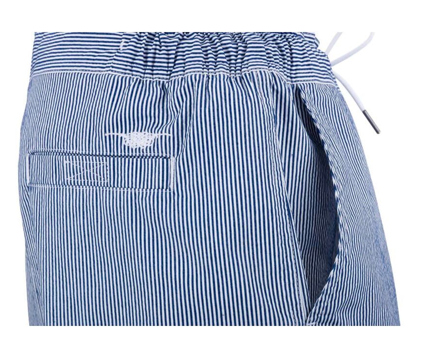 Navy stripes Men's swim short - BRENTAN