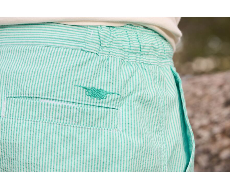 Navy stripes Men's swim short - BRENTAN