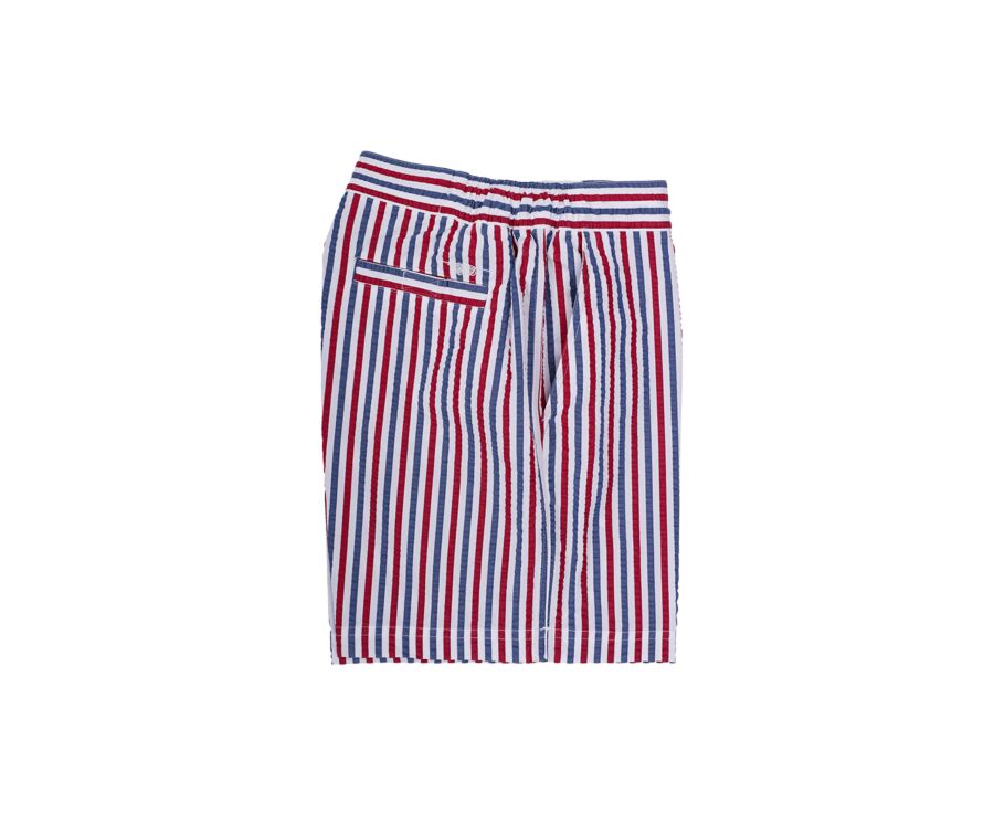 Blue White & Red stripes Men's swim short - BRENTAN