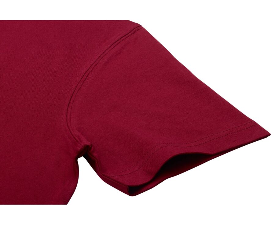 Men’s organic cotton T-shirt - Burgundy - EDGAR III