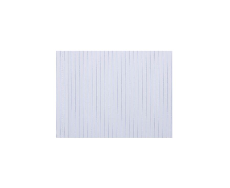 White & Blue striped poplin shirt - BERTHIN