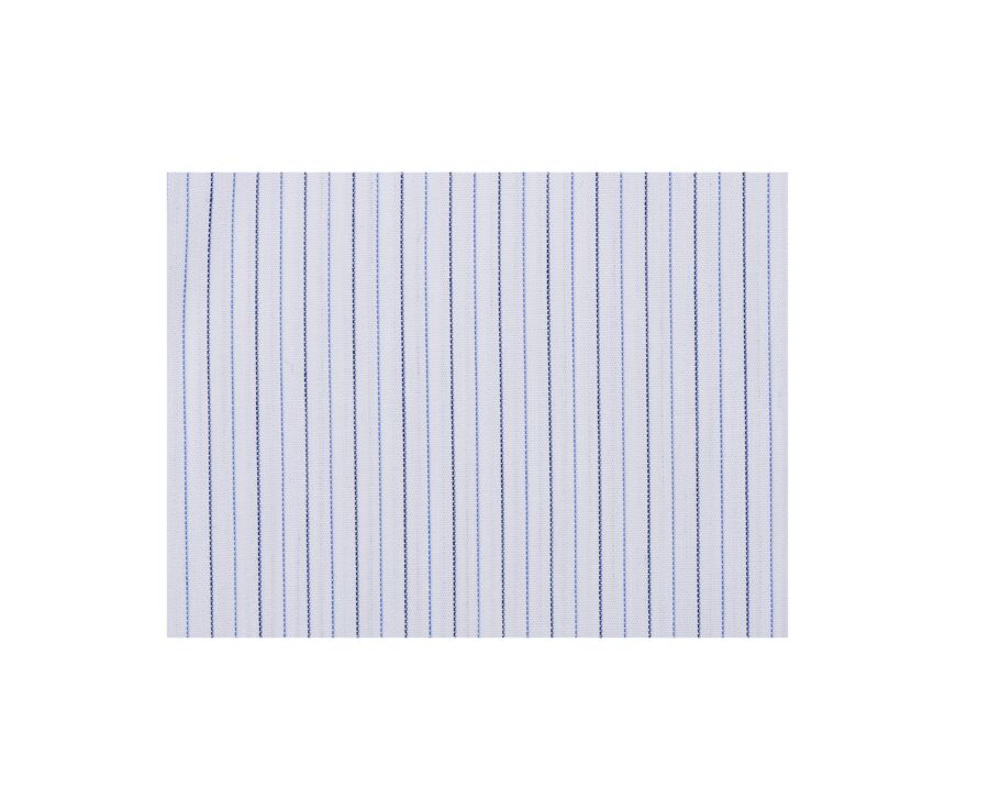 Navy White and Blue striped poplin shirt - CLAIREMONT