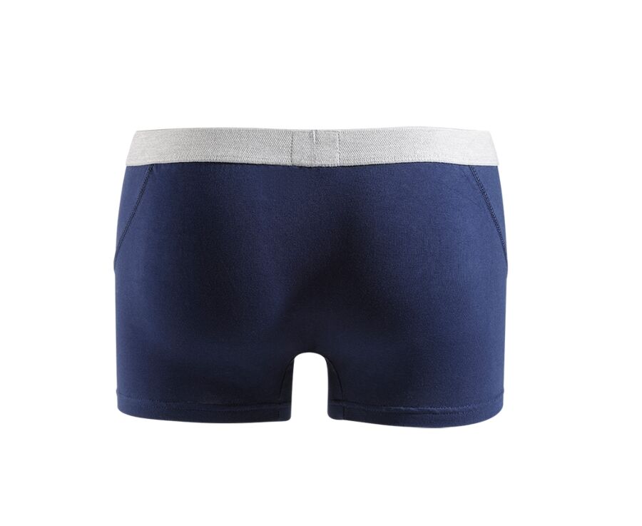 Box of 2 Navy Men's boxers briefs - ELLIOT