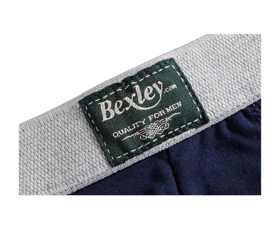 Box of 2 Navy Men's boxers briefs - ELLIOT