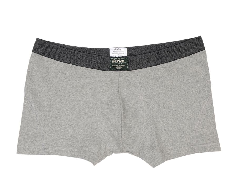 Box of 2 Grey Melange Men's boxers briefs - ELLIOT