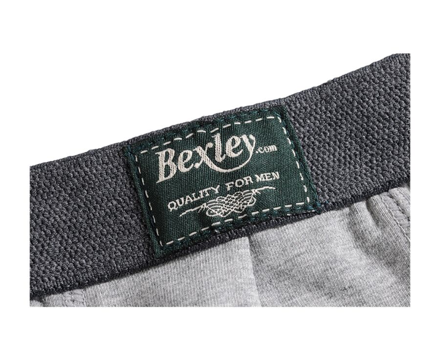 Box of 2 Grey Melange Men's boxers briefs - ELLIOT