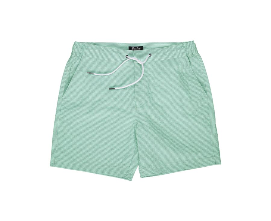 Navy stripes Men's swim short - BRENTAN
